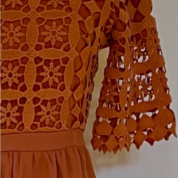 Roolee Terracotta Lace Sleeve Dress - Picture 4 of 4